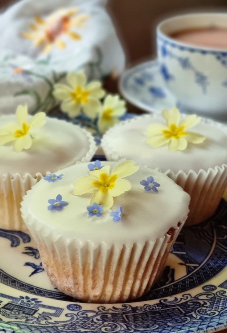 elderflower cordial and lemon iced muffin cupcakes foraged recipe
