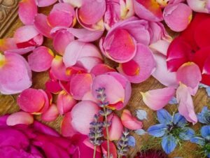 drying-flower-petals-300x226 How to make your own rose petal and oat milk bath soak recipe