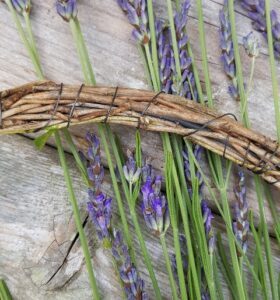 how-to-make-a-large-lavender-heart-wreath-280x300 How to make a lavender heart door wreath