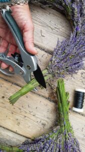 how-to-make-a-large-lavender-heart-wreath-5-169x300 How to make a lavender heart door wreath