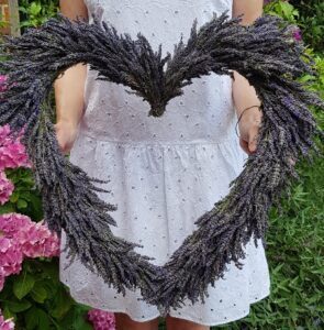 how-to-make-a-large-lavender-heart-wreath-7-295x300 How to make a lavender heart door wreath