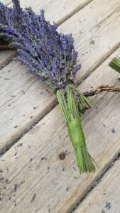 how-to-make-a-large-lavender-heart-wreath4-169x300 How to make a lavender heart door wreath