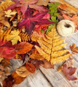 how-to-preserve-autumn-leaves-for-crafts-using-glycerine-2-271x300 How to preserve autumn leaves for crafts using glycerine