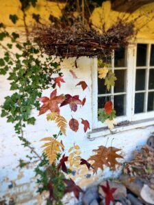 how-to-preserve-autumn-leaves-for-crafts-using-glycerine-3-225x300 How to preserve autumn leaves for crafts using glycerine